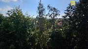 2+kk/L/G (62m2), ul. echova, Klatovy