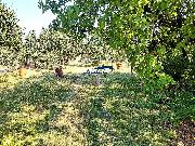 Prodej rodinn�ho domu 107, pozemek 1088m2