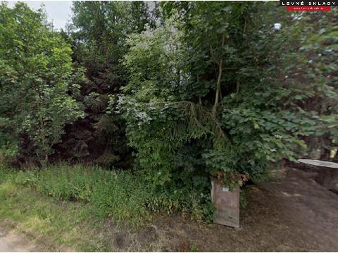 Obr�zek nen� k dispozici.