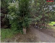 Poskytnut� trval�ho pobytu �i bydli�t� v obci Star� Paka