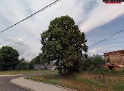 Poskytnut� trval�ho pobytu �i bydli�t� v obci Kr�lovstv�