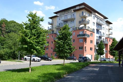 Obr�zek nen� k dispozici.