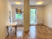 Pron�jem bytu 1+kk (30 m2) se zahr�dkou (52 m2) a parkovac�m m�stem v Jihlav� na ul. U Dlouh� st�ny.