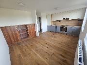 Pron�jem prostorn�ho bytu 3+1 (107 m2) s lod�i� a v�hledem do p��rody, Mal� Beranov, Jihlava.