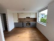 Pron�jem prostorn�ho bytu 3+1 (107 m2) s lod�i� a v�hledem do p��rody, Mal� Beranov, Jihlava.