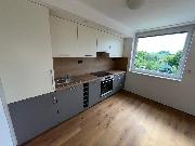 Pron�jem prostorn�ho bytu 3+1 (107 m2) s lod�i� a v�hledem do p��rody, Mal� Beranov, Jihlava.