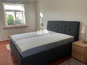 Pron�jem, mezonetov� byt 5+1, 250 m2, D�evn�, Praha 2-Nov� M�sto, v�tah, terasa, zimn� zahrada