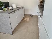 Pron�jem, prostorn� byt, 2+kk, 65 m2, �t�p�nsk�, Praha 1 - Nov� M�sto, parkov�n�, metro