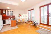 Pron�jem, sv�tl� a za��zen� byt 2+kk, 50 m2, Heinemannova, Praha 6 , terasa, balkon, kratkodob�