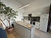 Pronjem, zrekonstruovan byt, 2+kk, 71 m2, tpnsk, Praha 1 - Nov Msto, parkovn, metro