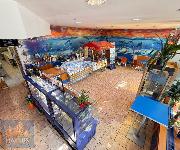 Pron�jem cukr�rny / kav�rny, Praha 5 - Radot�n, N�m�st� Osvoboditel�