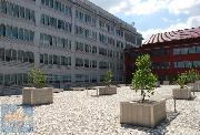 Pron�jem kancel��� (750,01 m2), Zlat� And�l, Praha 5 - N�dra�n�