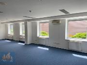 Pronjem kancelskch prostor (39 m2) Plynrensk, Brno