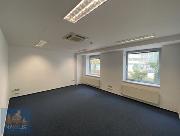 Pronjem kancelskch prostor (25 m2) Plynrensk, Brno