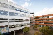 Pronjem kancelskch prostor (520 m2) Plynrensk, Brno