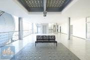Pronjem kancelskch prostor (50 m2) Plynrensk, Brno