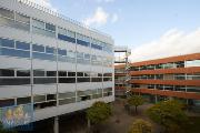 Pronjem kancelskch prostor (50 m2) Plynrensk, Brno