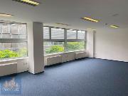 Pron�jem kancel��sk�ch prostor (76 m2) Plyn�rensk�, Brno