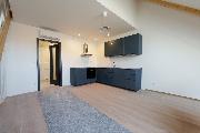 Pron�jem nov�ho podkrovn�ho bytu 2+kk (74 m2) + terasa (10 m2), Praha 2 - Vinohrady, Chodsk�