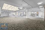 Pronjem obchodnch prostor (480 m2), Vclavsk nmst - Dm mdy, Praha 1