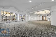 Pronjem obchodnch prostor (480 m2), Vclavsk nmst - Dm mdy, Praha 1