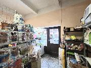 Pron�jem obchodn�ch prostor (25 m2), Praha 3 - �i�kov, Re�kova