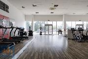 Pron�jem obchodn�ch prostor/showroomu (490,9 m2), SHOP PARK �estlice, Pr�honick� ul.