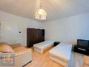 Pronjem prostornho bytu 1+kk (40,2 m2) s lodi a sklepem, Praha 8 - Troja, ul. Glowackho