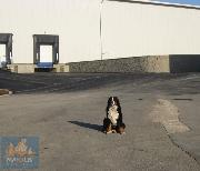 Pron�jem skladovac� haly s chlad�c�mi boxy (1 762 m?), V�tov u Slan�ho