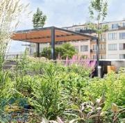 Tokovo - pron�jem kancel��sk�ch prostor (221,23 m2), Praha 7 - Hole�ovice, Jankovcova