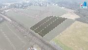 Prodej 1/4 stavebn�ch pozemk� v obci D��ina