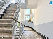Prodej bytu 3+kk Plze� Bory