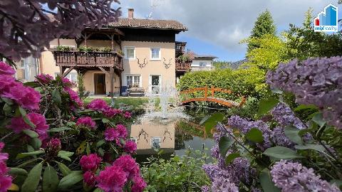 Obr�zek nen� k dispozici.