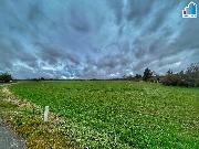 Prodej - Pozemek v obci Hemanova Hu