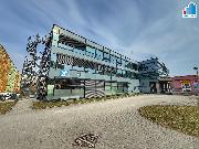 Pron�jem - Administrativn�ch prostor o velikosti 2000 m?, Plze� � Skvr�any