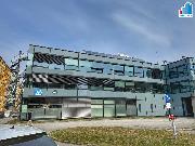 Pron�jem - Administrativn�ch prostor o velikosti 2000 m?, Plze� � Skvr�any