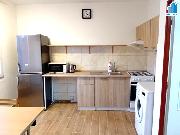 Pronjem bytu 1+1 v Holov