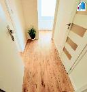 Pron�jem bytu 1+1 v Hol��ov�