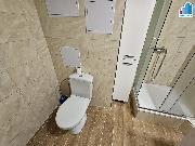 Pron�jem bytu 1+1 v Hol��ov�