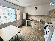 Pron�jem bytu 1+1 v Hol��ov�