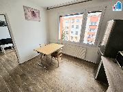 Pron�jem bytu 1+1 v Hol��ov�