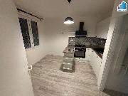 Pron�jem bytu 1+1 v N��anech, Hav��sk� ulice