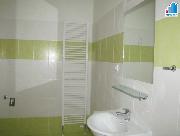 Pron�jem bytu 1+1 v Plzni - Ji�n� P�edm�st�