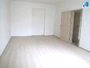 Pron�jem bytu 1+1 v Plzni - Ji�n� P�edm�st�