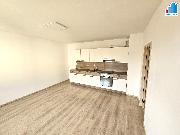 Pron�jem bytu 1+kk s gar�ov�m st�n�m v Plzni - Ji�n� P�edm�st�