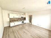 Pron�jem bytu 1+kk s gar�ov�m st�n�m v Plzni - Ji�n� P�edm�st�