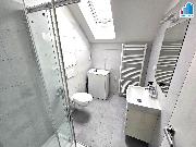 Pron�jem bytu 1+kk v Plzni - Ji�n� P�edm�st�