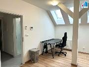 Pron�jem bytu 1+kk v Plzni - Ji�n� P�edm�st�