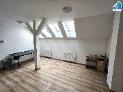 Pron�jem bytu 1+kk v Plzni - Ji�n� P�edm�st�