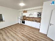 Pron�jem bytu 1+kk v Plzni - Ji�n� P�edm�st�